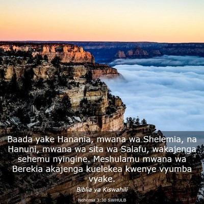 Picture 03 - Nehemia 3:30 SWHULB - Baada yake Hanania, mwana wa Shelemia, na Hanuni, - Bible Verse Picture