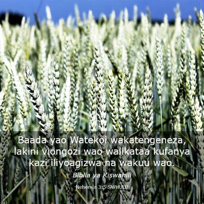 Picture 03 - Nehemia 3:5 SWHULB - Baada yao Watekoi wakatengeneza, lakini viongozi - Bible Verse Picture