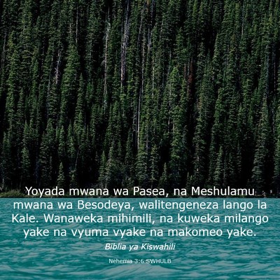 Picture 03 - Nehemia 3:6 SWHULB - Yoyada mwana wa Pasea, na Meshulamu mwana wa - Bible Verse Picture