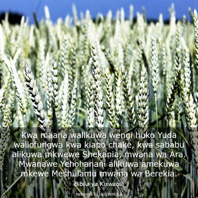Picture 03 - Nehemia 6:18 SWHULB - Kwa maana walikuwa wengi huko Yuda waliofungwa - Bible Verse Picture