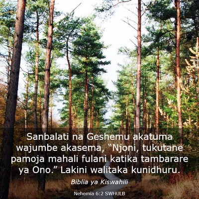 Picture 03 - Nehemia 6:2 SWHULB - Sanbalati na Geshemu akatuma wajumbe akasema, - Bible Verse Picture
