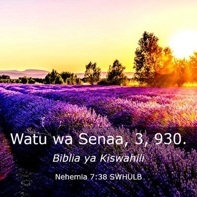 Picture 03 - Nehemia 7:38 SWHULB - Watu wa Senaa, 3, - Bible Verse Picture