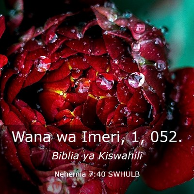 Picture 03 - Nehemia 7:40 SWHULB - Wana wa Imeri, 1, - Bible Verse Picture