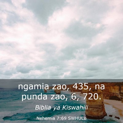 Picture 03 - Nehemia 7:69 SWHULB - ngamia zao, 435, na punda zao, 6, - Bible Verse Picture