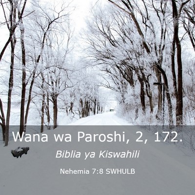 Picture 03 - Nehemia 7:8 SWHULB - Wana wa Paroshi, 2, - Bible Verse Picture