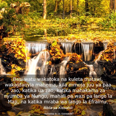 Picture 03 - Nehemia 8:16 SWHULB - Basi watu wakatoka na kuleta matawi, wakajifanyia - Bible Verse Picture