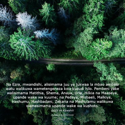 Picture 03 - Nehemia 8:4 SWHULB - Na Ezra, mwandishi, alisimama juu ya jukwaa la - Bible Verse Picture