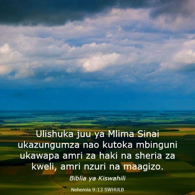 Picture 03 - Nehemia 9:13 SWHULB - Ulishuka juu ya Mlima Sinai ukazungumza nao - Bible Verse Picture