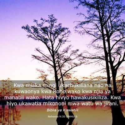 Picture 03 - Nehemia 9:30 SWHULB - Kwa miaka mingi ukachukiliana nao na kuwaonya kwa - Bible Verse Picture