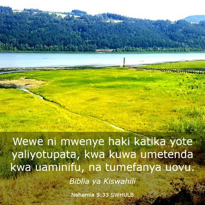 Picture 03 - Nehemia 9:33 SWHULB - Wewe ni mwenye haki katika yote yaliyotupata, kwa - Bible Verse Picture