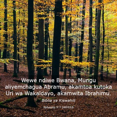 Picture 03 - Nehemia 9:7 SWHULB - Wewe ndiwe Bwana, Mungu aliyemchagua Abramu, - Bible Verse Picture