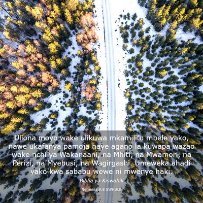 Picture 03 - Nehemia 9:8 SWHULB - Uliona moyo wake ulikuwa mkamilifu mbele yako, - Bible Verse Picture