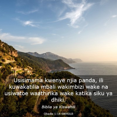 Picture 03 - Obadia 1:14 SWHULB - Usisimama kwenye njia panda, ili kuwakatilia - Bible Verse Picture