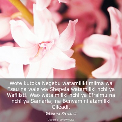 Picture 03 - Obadia 1:19 SWHULB - Wote kutoka Negebu watamiliki mlima wa Esau na - Bible Verse Picture