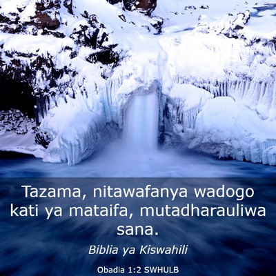 Picture 03 - Obadia 1:2 SWHULB - Tazama, nitawafanya wadogo kati ya mataifa, - Bible Verse Picture