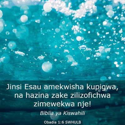 Picture 03 - Obadia 1:6 SWHULB - Jinsi Esau amekwisha kupigwa, na hazina zake - Bible Verse Picture