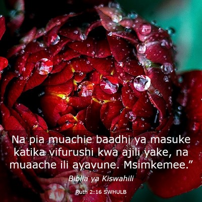 Picture 03 - Ruth 2:16 SWHULB - Na pia muachie baadhi ya masuke katika vifurushi - Bible Verse Picture