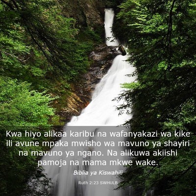 Picture 03 - Ruth 2:23 SWHULB - Kwa hiyo alikaa karibu na wafanyakazi wa kike ili - Bible Verse Picture