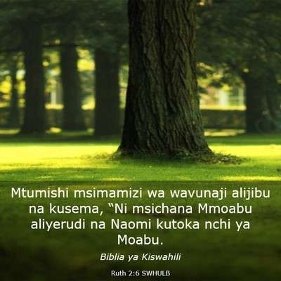 Picture 03 - Ruth 2:6 SWHULB - Mtumishi msimamizi wa wavunaji alijibu na kusema, - Bible Verse Picture