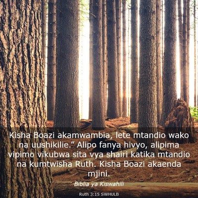 Picture 03 - Ruth 3:15 SWHULB - Kisha Boazi akamwambia, lete mtandio wako na - Bible Verse Picture