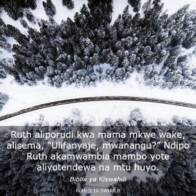 Picture 03 - Ruth 3:16 SWHULB - Ruth aliporudi kwa mama mkwe wake, alisema, - Bible Verse Picture