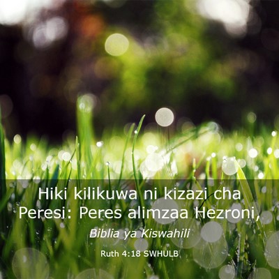 Picture 03 - Ruth 4:18 SWHULB - Hiki kilikuwa ni kizazi cha Peresi: Peres alimzaa - Bible Verse Picture