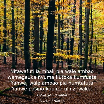 Picture 03 - Sefania 1:6 SWHULB - Nitawafutilia mbali pia wale ambao wamegeuka - Bible Verse Picture