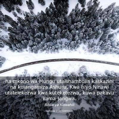Picture 03 - Sefania 2:13 SWHULB - na mkono wa Mungu utaishambulia kaskazini na - Bible Verse Picture
