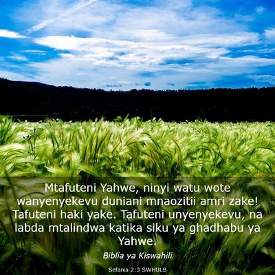 Picture 03 - Sefania 2:3 SWHULB - Mtafuteni Yahwe, ninyi watu wote wanyenyekevu - Bible Verse Picture