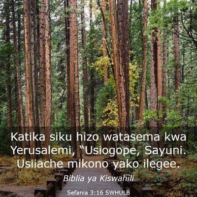 Picture 03 - Sefania 3:16 SWHULB - Katika siku hizo watasema kwa Yerusalemi, - Bible Verse Picture