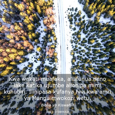 Picture 03 - Tito 1:3 SWHULB - Kwa wakati muafaka, alilifunua neno lake katika - Bible Verse Picture