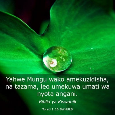 Picture 03 - Torati 1:10 SWHULB - Yahwe Mungu wako amekuzidisha, na tazama, leo - Bible Verse Picture
