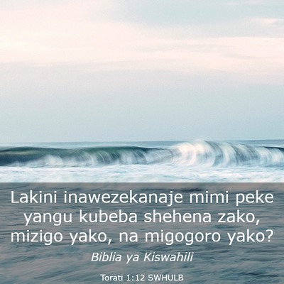 Picture 03 - Torati 1:12 SWHULB - Lakini inawezekanaje mimi peke yangu kubeba - Bible Verse Picture
