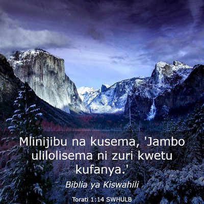 Picture 03 - Torati 1:14 SWHULB - Mlinijibu na kusema, 'Jambo ulilolisema ni zuri - Bible Verse Picture