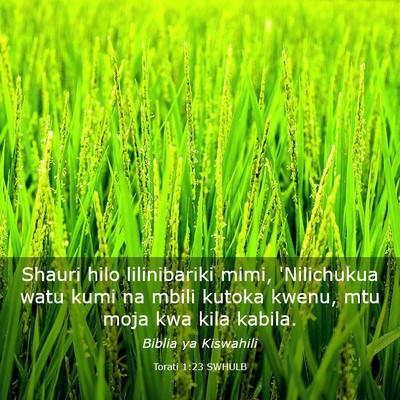 Picture 03 - Torati 1:23 SWHULB - Shauri hilo lilinibariki mimi, 'Nilichukua watu - Bible Verse Picture