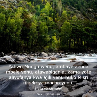 Picture 03 - Torati 1:30 SWHULB - Yahwe Mungu wenu, ambaye aenda mbele yenu, - Bible Verse Picture