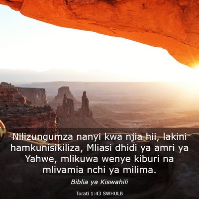 Picture 03 - Torati 1:43 SWHULB - Nilizungumza nanyi kwa njia hii, lakini - Bible Verse Picture