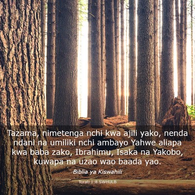 Picture 03 - Torati 1:8 SWHULB - Tazama, nimetenga nchi kwa ajili yako, nenda - Bible Verse Picture