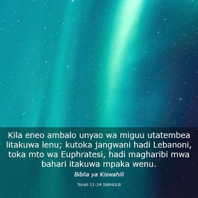 Picture 03 - Torati 11:24 SWHULB - Kila eneo ambalo unyao wa miguu utatembea - Bible Verse Picture