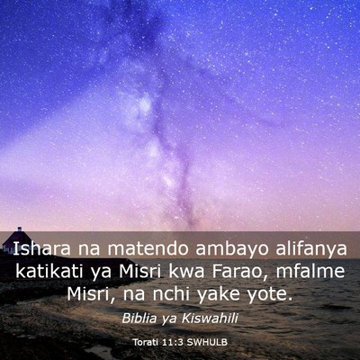 Picture 03 - Torati 11:3 SWHULB - Ishara na matendo ambayo alifanya katikati ya - Bible Verse Picture