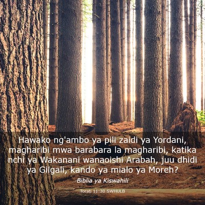 Picture 03 - Torati 11:30 SWHULB - Hawako ng'ambo ya pili zaidi ya Yordani, - Bible Verse Picture
