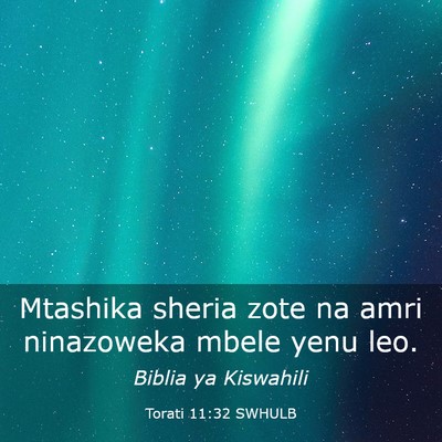 Picture 03 - Torati 11:32 SWHULB - Mtashika sheria zote na amri ninazoweka mbele - Bible Verse Picture
