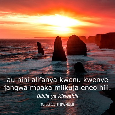 Picture 03 - Torati 11:5 SWHULB - au nini alifanya kwenu kwenye jangwa mpaka - Bible Verse Picture