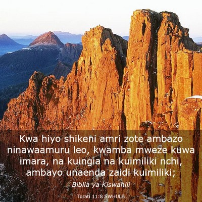 Picture 03 - Torati 11:8 SWHULB - Kwa hiyo shikeni amri zote ambazo ninawaamuru - Bible Verse Picture