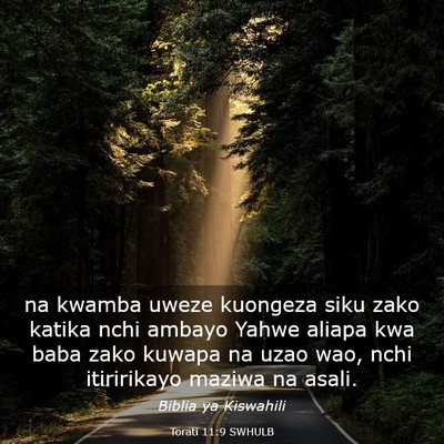 Picture 03 - Torati 11:9 SWHULB - na kwamba uweze kuongeza siku zako katika nchi - Bible Verse Picture