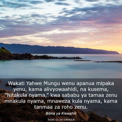 Picture 03 - Torati 12:20 SWHULB - Wakati Yahwe Mungu wenu apanua mipaka yenu, kama - Bible Verse Picture