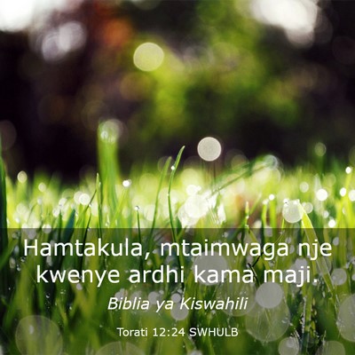 Picture 03 - Torati 12:24 SWHULB - Hamtakula, mtaimwaga nje kwenye ardhi kama - Bible Verse Picture