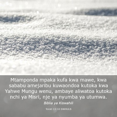 Picture 03 - Torati 13:10 SWHULB - Mtamponda mpaka kufa kwa mawe, kwa sababu - Bible Verse Picture