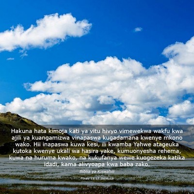 Picture 03 - Torati 13:17 SWHULB - Hakuna hata kimoja kati ya vitu hivyo vimewekwa - Bible Verse Picture