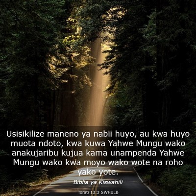 Picture 03 - Torati 13:3 SWHULB - Usisikilize maneno ya nabii huyo, au kwa huyo - Bible Verse Picture